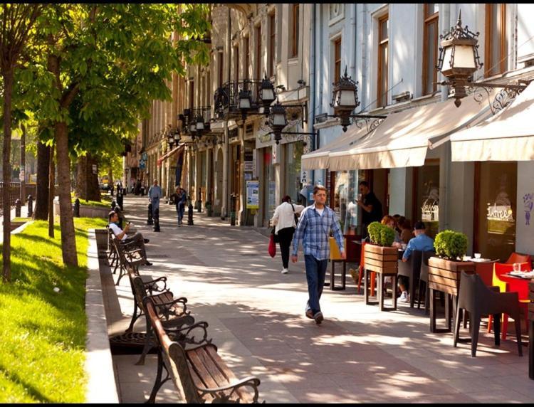 Lesya Apartment With Terrace Tbilisi ภายนอก รูปภาพ